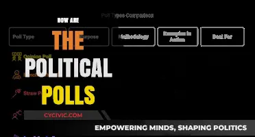 Analyzing Political Polls: Trends, Accuracy, and Impact on Elections