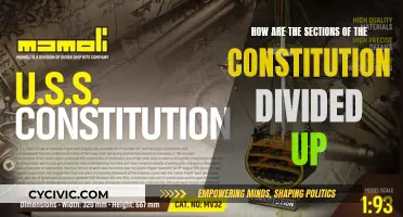 Exploring the Constitution's Sectional Divisions