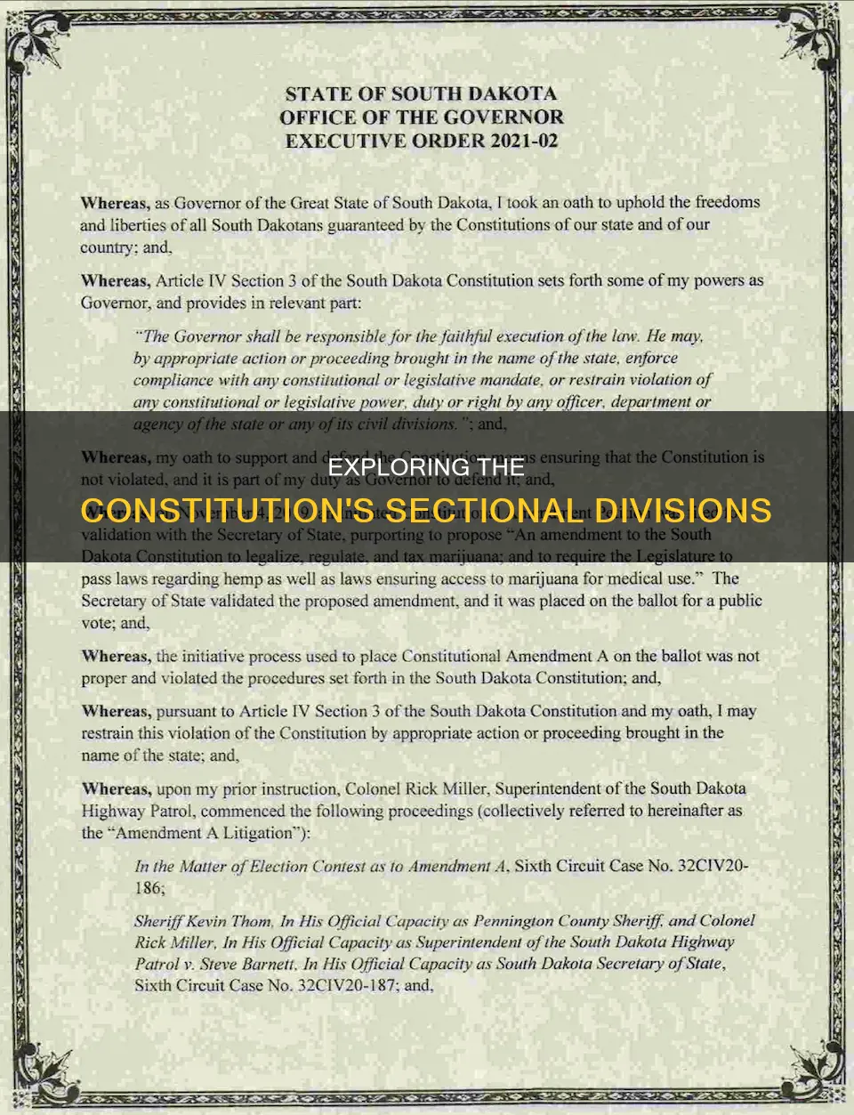 how are the sections of the constitution divided up