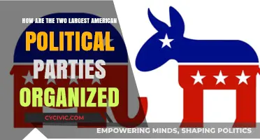 Understanding the Structure of America's Two Major Political Parties
