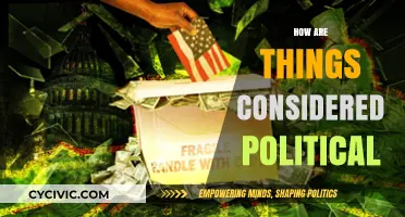 Exploring the Political Lens: How Everyday Issues Become Politicized