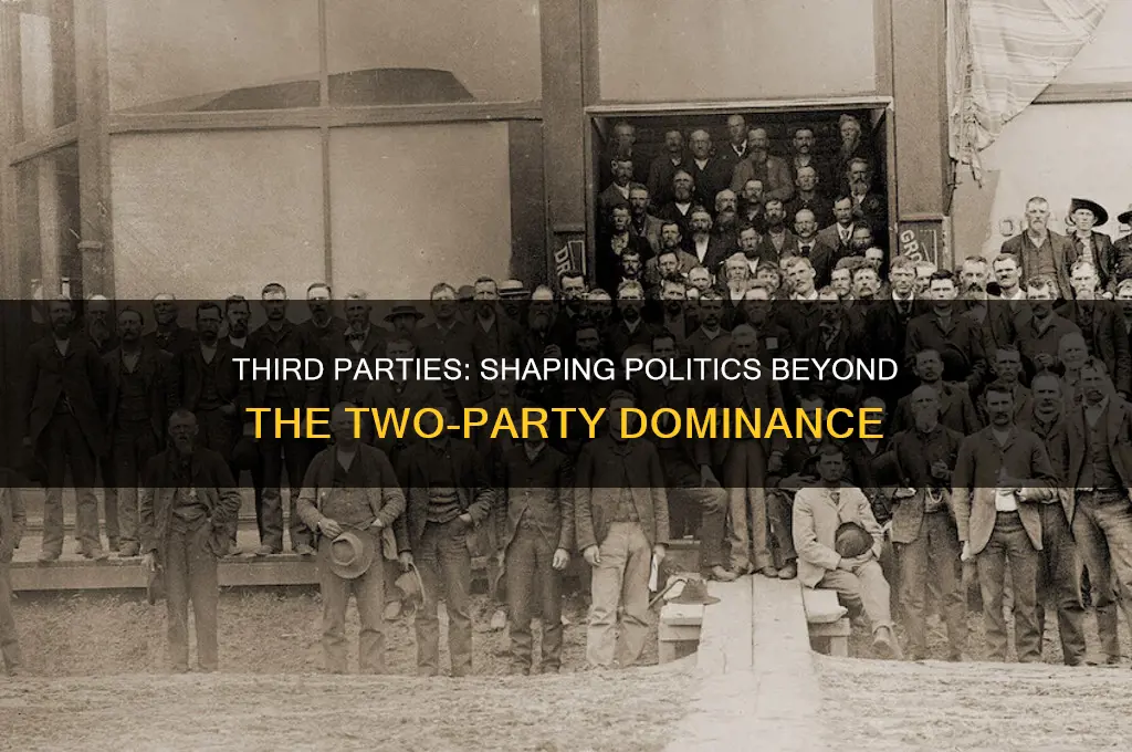how are third political parties usually significant