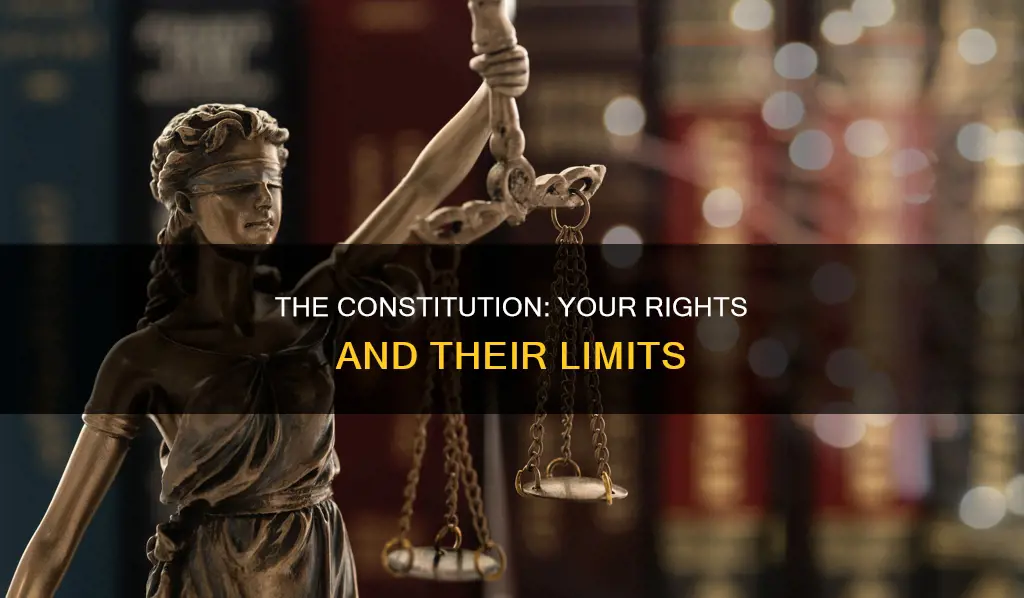 how are you impacted by the constitution as an individual