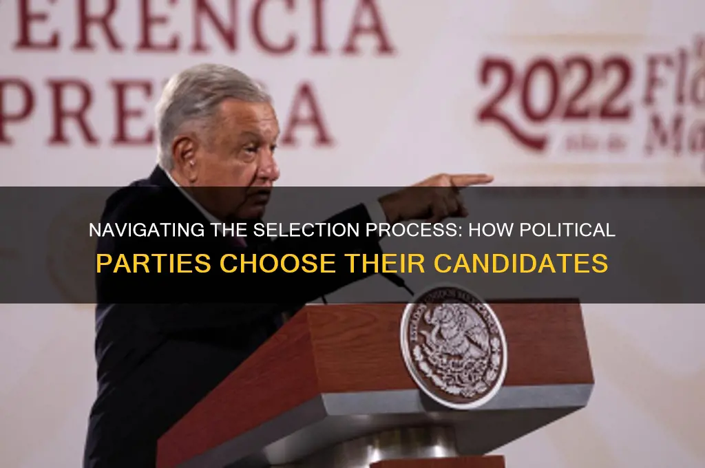 how are you selected for a political party