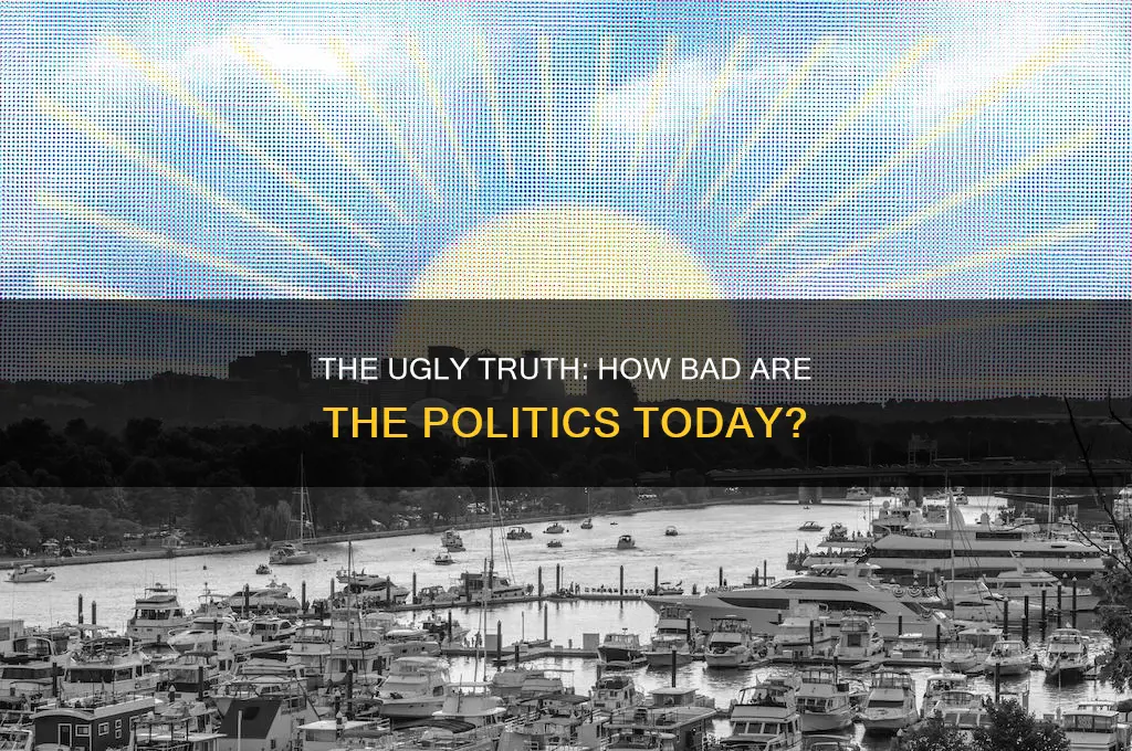 how bad are the politics