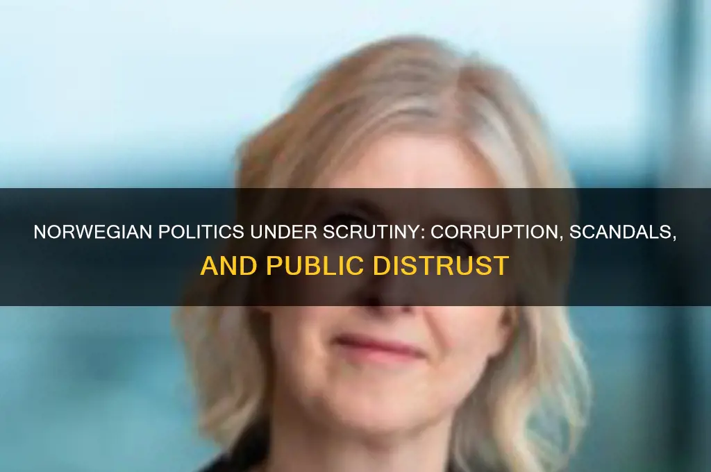 how bad is norwegian politics