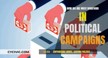 Donation Sizes: Political Campaigns and Their Funding Sources