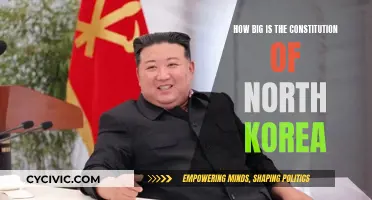 North Korea's Constitution: A Comprehensive Document?