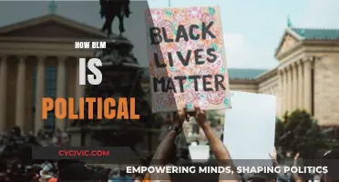 Black Lives Matter: Unraveling the Intersection of Activism and Politics