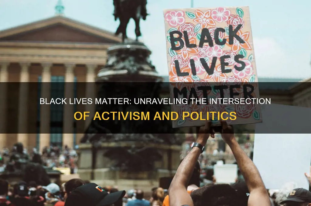 how blm is political