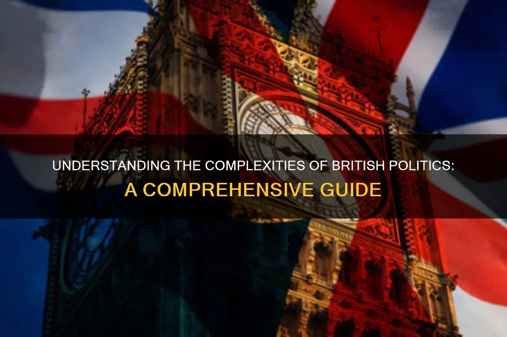 how british politics swork