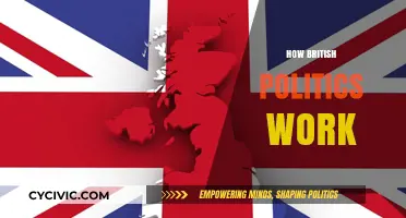 Understanding British Politics: A Comprehensive Guide to the UK System