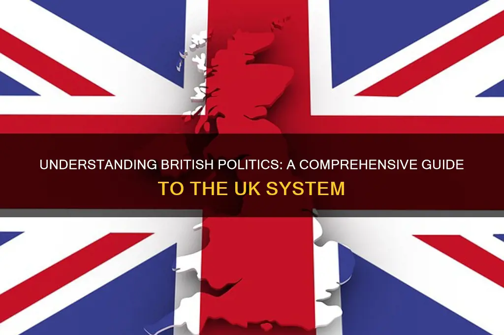 how british politics work