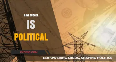 The Political Power of Budgeting: Shaping Policies and Priorities