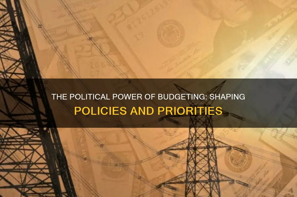 how budget is political