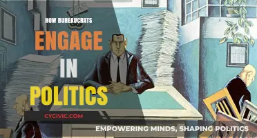 Bureaucrats and Political Engagement: Navigating Power, Influence, and Policy-Making
