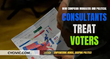 Voters: Political Campaign Managers' and Consultants' Pawns