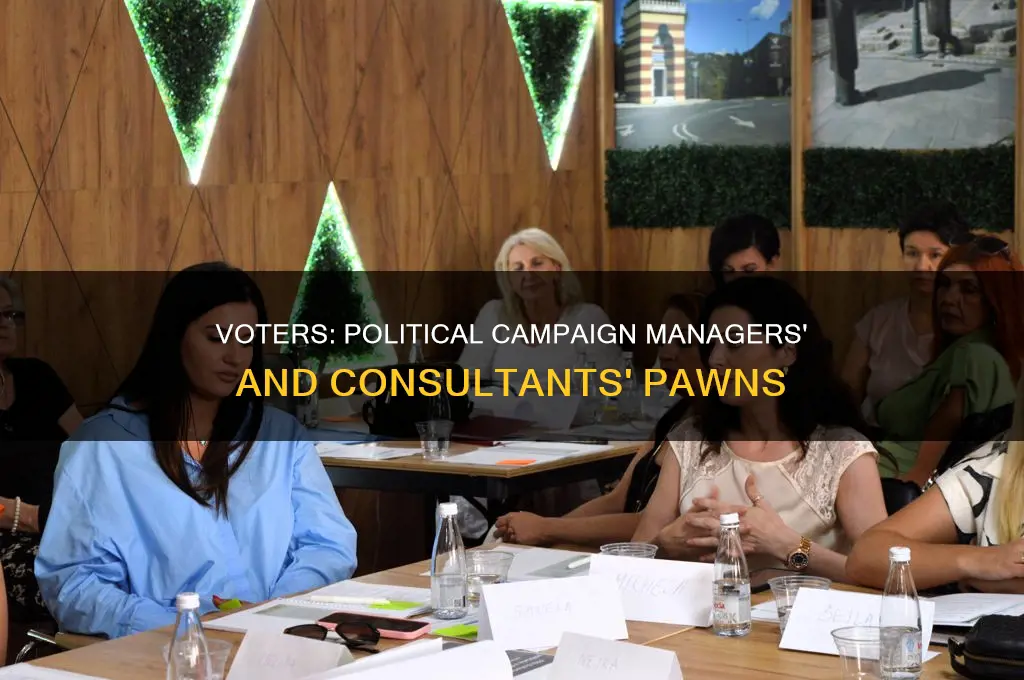 how campaign managers and political consultants treat voters