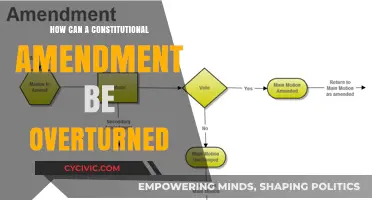 Amending the Constitution: Overturning an Amendment