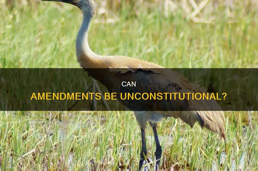 how can a constitutional amendment be unconstitutional