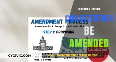 Amending a Flexible Constitution: A Dynamic Process