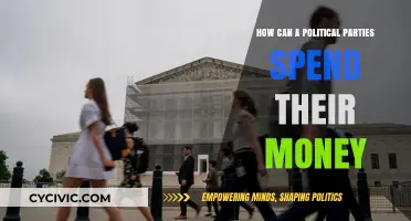 Strategic Spending: How Political Parties Allocate Their Financial Resources