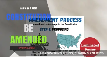 Amending Rigid Constitutions: A Dynamic Process