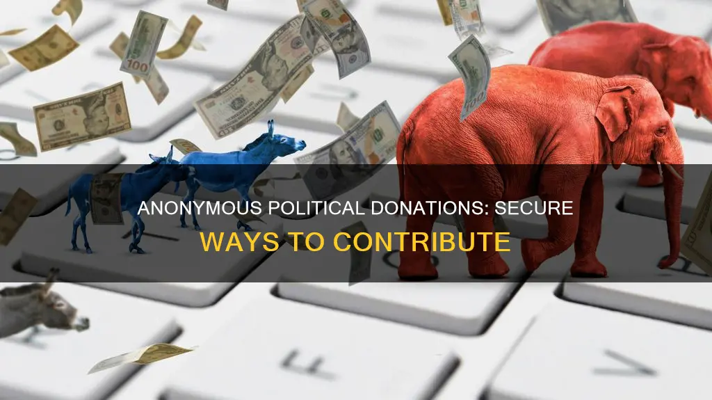 how can anonymous contributions be given to a political campaign