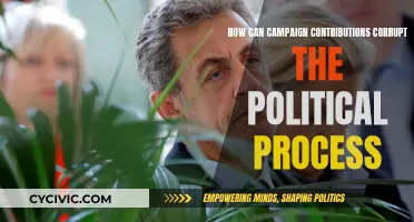 Campaign Contributions: Corrupting Politics and Democracy