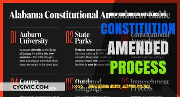 Caucus Power: Constitution Amendments Explained