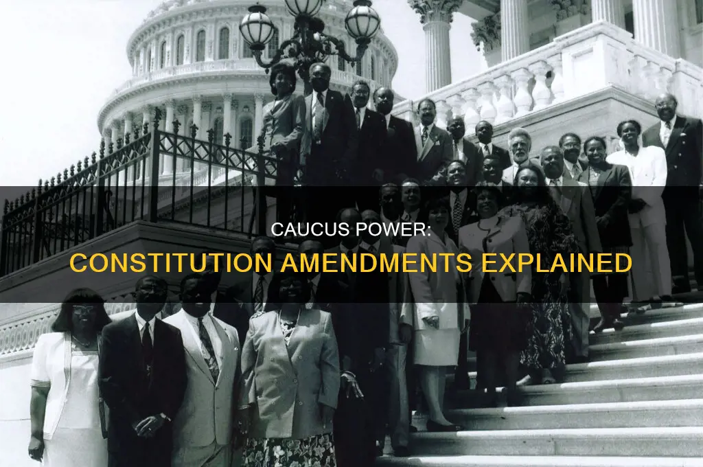 how can caucus influence the constitution amended process