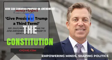 Amending the Constitution: Congress's Role