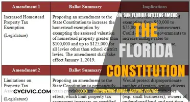 Floridians: Changing Our Constitution