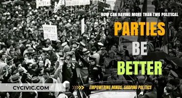 Multi-Party Democracy: Enhancing Representation, Competition, and Political Diversity