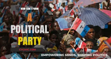 Steps to Forming Your Own Political Party: A Comprehensive Guide
