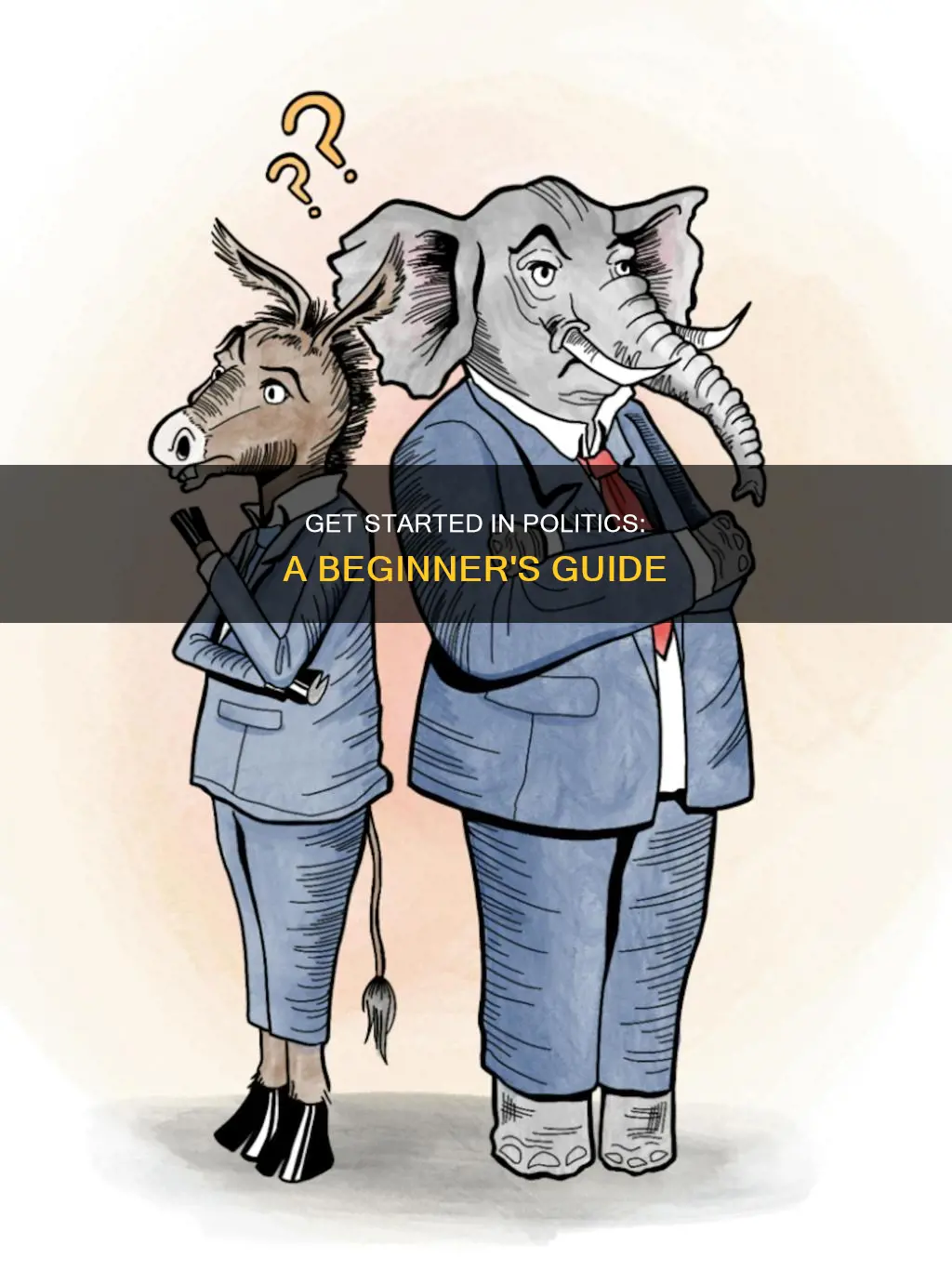 how can i get involved in politics