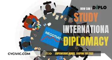 International Diplomacy: A Study Guide for Beginners