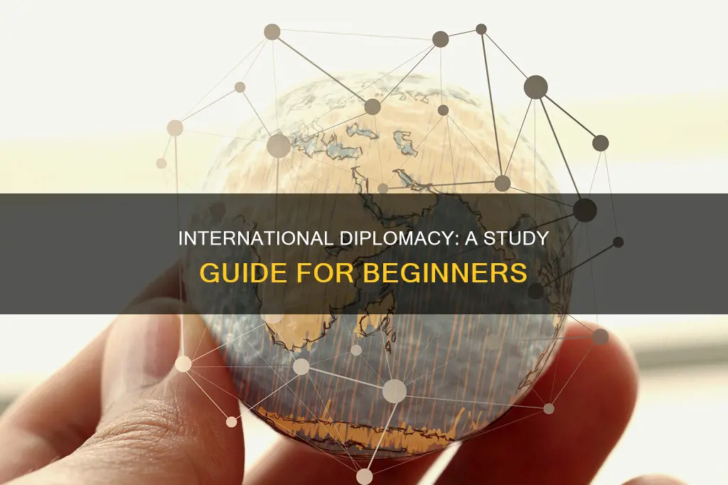 how can i study international diplomacy