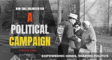 Volunteering for Political Campaigns: Getting Started and Making Difference