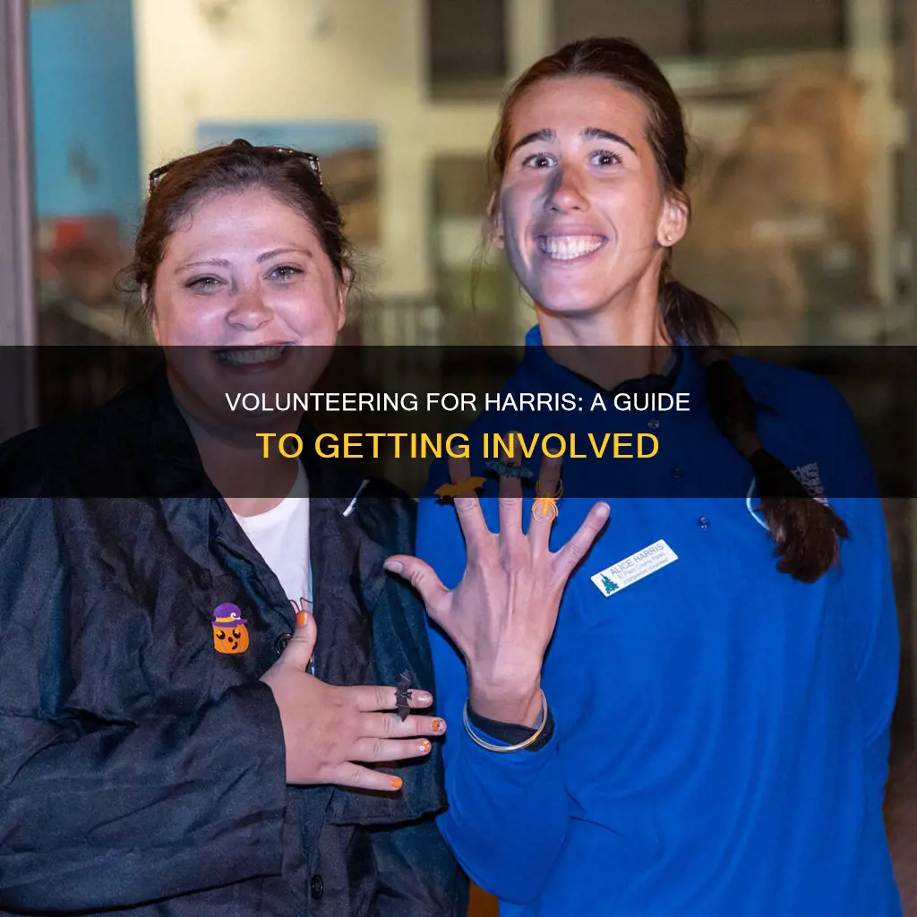 how can i volunteer for harris