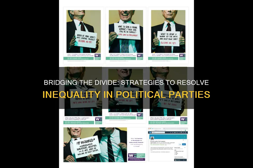 how can inequality in political parties be resolved