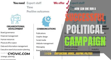 Strategies for a Successful Political Campaign: Key Insights