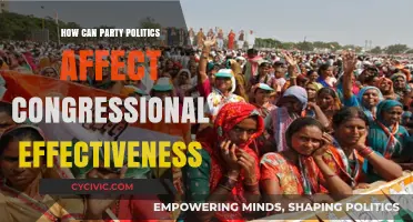 Party Politics: Impact on Congressional Efficiency and Governance