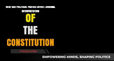 Political Influence on Judicial Interpretation of Constitutional Law
