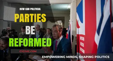 Reimagining Democracy: Strategies to Reform and Revitalize Political Parties