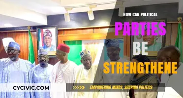 Strengthening Political Parties: Strategies for Unity, Engagement, and Effective Governance