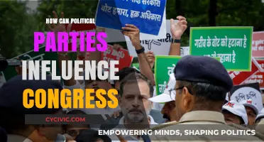 How Political Parties Shape Congress: Strategies and Impact Explained