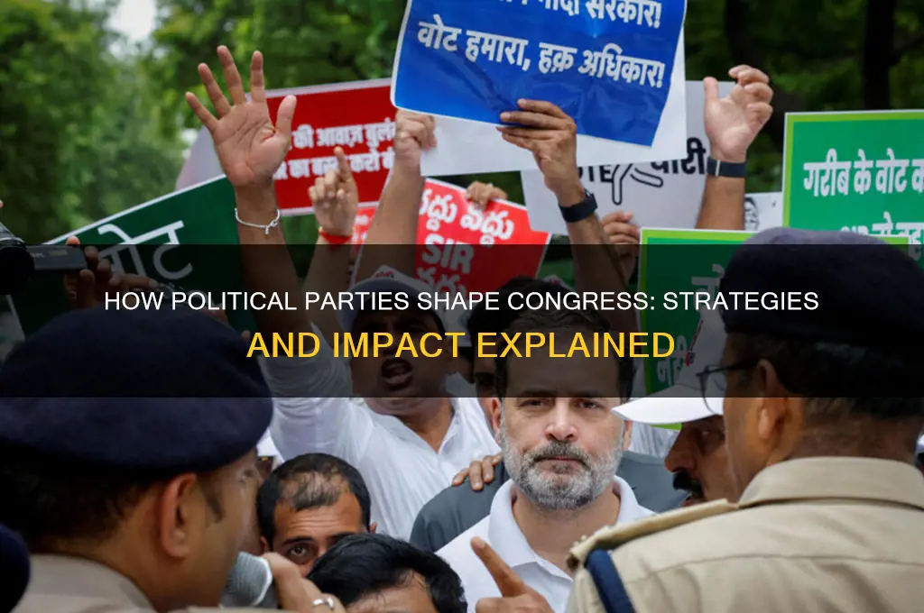 how can political parties influence congress