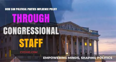 How Political Parties Shape Policy via Congressional Staff Influence