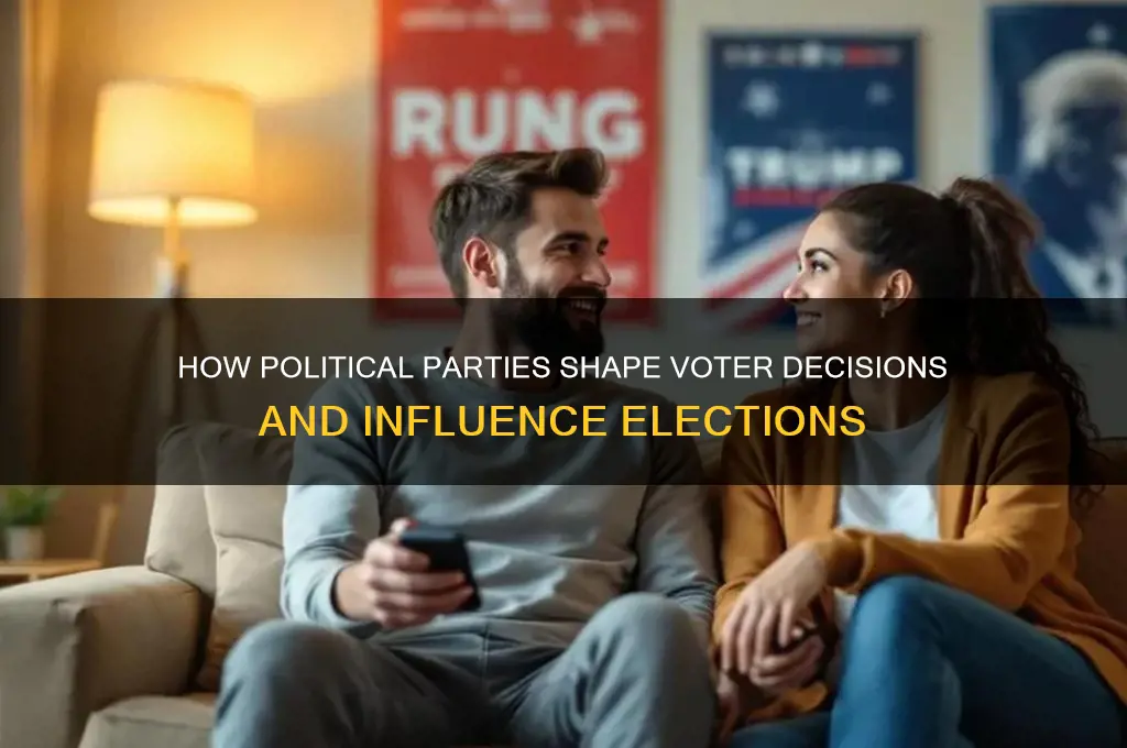 how can political parties influence voters